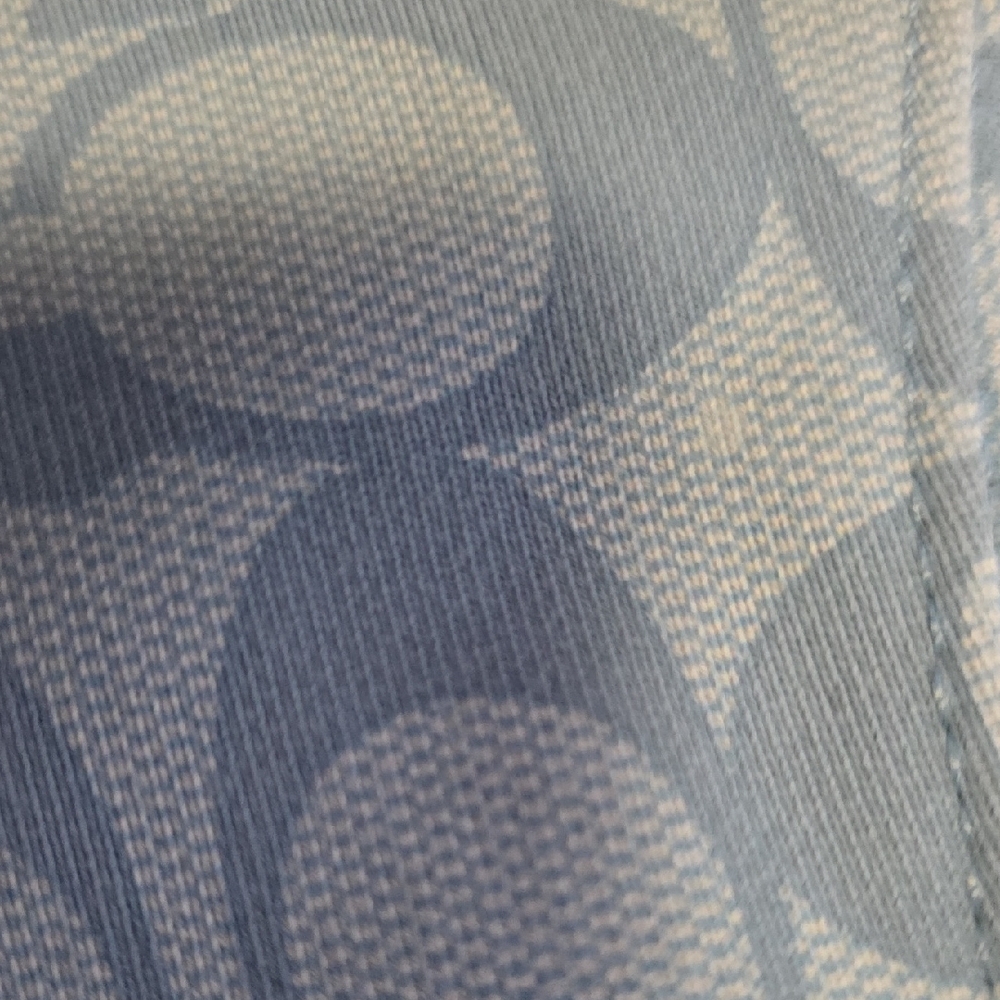 Coach Sweatshirt in Soft Blue - Picture 7 of 14